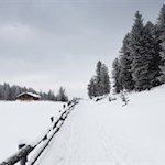 Inmitten einer breiten Waldlichtung präsentiert sich die Ackerboden Alm