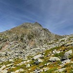 Durch steinbeschlagene Bergwiesen in Richtung Großer Moosstock