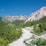 Durch die mit Latschenkiefern bewachsene Landschaft zur Lavarellahütte