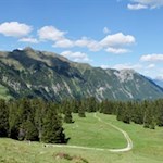 Sanft schlängelt sich der Weg durch malerische Almwiesen zur Wumblsalm