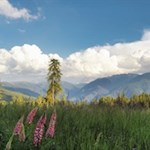 Abendidylle auf der Rodenecker Alm