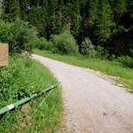 Durch den Wald zur Heinzen Alm