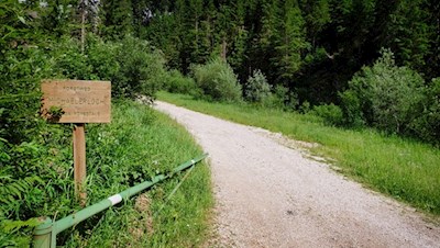 Durch den Wald zur Heinzen Alm