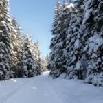 Durch eine winterweiße Wunderwelt zur Lercheralm