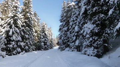 Durch eine winterweiße Wunderwelt zur Lercheralm