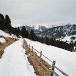 Von der Schatzerhütte führt der Weg in Richtung Halslhütte weiter