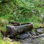Erfrischende Abkühlung auf dem Rückweg von der Bergalm