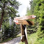 Der Weg Nr. 31 führt auf den Lutterkopf