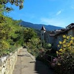 Von-blühender-Zierde-umsäumt-die-Brixner-Eisackpromenade