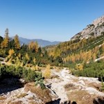 Rückwärtsgewandter Blick auf den herbstbunten Hochwald