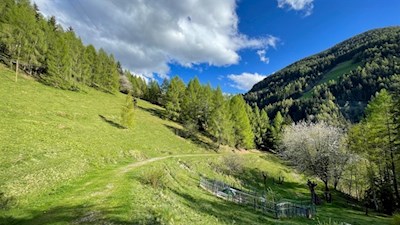 Frühlingswanderung zwischen dem Pustertal und dem Gadertal