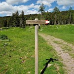 Der Weg zur Vöraner Alm ist gut ausgeschildert