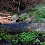 Erfrischung am Wegesrand