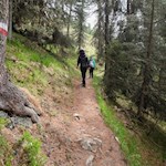 Einfache Wanderung zur Kreuzwiesenalm