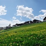 Durch blühende Wiesen ins sonnenverwöhnte Meransen