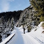 Rodelbahn von der Stadlalm