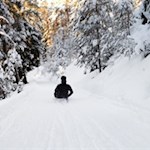 Rodeln vom Hofer Alpl