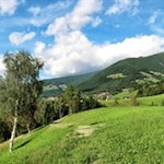 Auf dem Weg Nr. 12 in Richtung St. Andrä