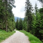 Anfangs folgt man sanft ansteigenden Pfaden