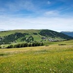 Vor der Kulisse des Puflatsch zurück nach Compatsch