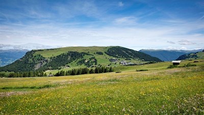 Vor der Kulisse des Puflatsch zurück nach Compatsch