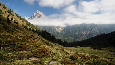 Hinter uns ragt der wolkenumhangene Tribulaun in die Höhe
