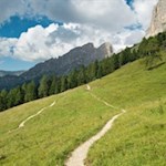 Durch satte Weidewiesen und schattenspendende Haine zur Haniger Schwaige 