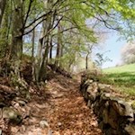 Zwischen Seit und Kohlern