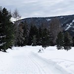 Der Latschenweg führt zur Gasserhütte zurück