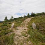 Über sanfte Heidehänge in Richtung Pichlberg