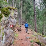 Durch den Wald zum Schloss Neuhaus
