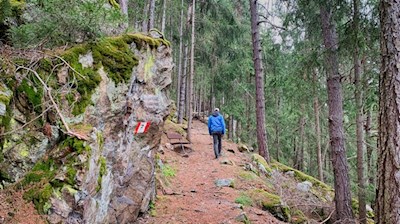 Durch den Wald zum Schloss Neuhaus