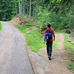 Etwas oberhalb des Dorfes zweigt der Waldweg zum Tomanegger ab
