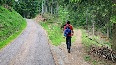 Etwas oberhalb des Dorfes zweigt der Waldweg zum Tomanegger ab