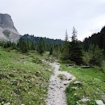 Durch die blumenreichen Wiesen zur Brogleshütte