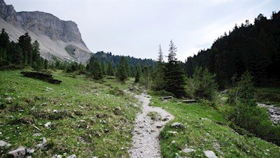 Durch die blumenreichen Wiesen zur Brogleshütte