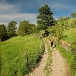 Unsere Wanderung führt durch sanfte Wiesen und Felder