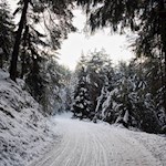 Die sanft abfallende Rodelbahn von der Tuffalm