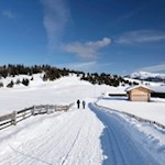 Im sanften Auf und Ab zur Starkenfeldhütte