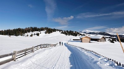 Im sanften Auf und Ab zur Starkenfeldhütte