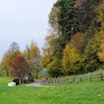 Liebliche Herbstlandschaft bei Teis