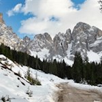 Vor der Kulisse des Lang- und Plattkofel nach Saltria