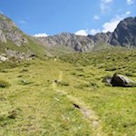 Der Weg auf die Riepenspitze führt durch sanfte Bergwiesen