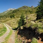 Vom Dolomieuweg zweigt rechts der schmale Steig Nr. 23 auf die Telfer Weißen ab