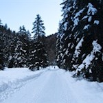 Durch den Winterwald zur Stumpfalm