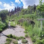 Durch Obstwiesen zum Riffianer Waalweg