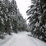 Spilucker Winterparadies