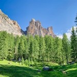 Lichtung mit Blick auf die Felswände des Ciadenes