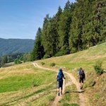 Wandern Weitental
