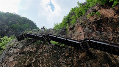 Metalltreppen führen sicher durch die Rastenbachklamm
